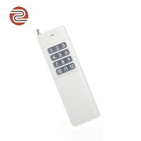 ZY21-12 12键大功率3000米香蕉视频下载网站遥控器